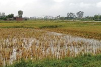 Dân Thanh Hóa mua nhầm… “đất đa cấp”